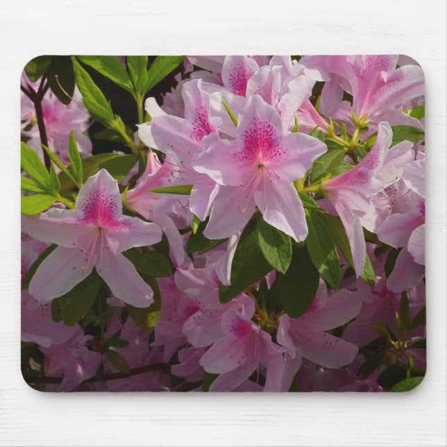 Pink Azalea Bush Frühjahr Floral Mousepad (Vorne)