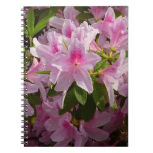 Pink Azalea Bush Frühjahr Floral Notizblock