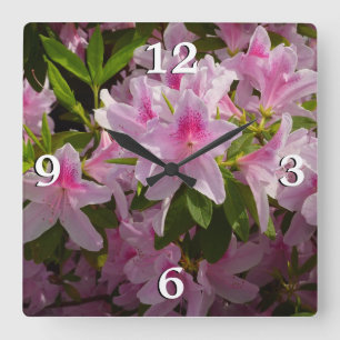 Pink Azalea Bush Frühjahr Floral Quadratische Wanduhr