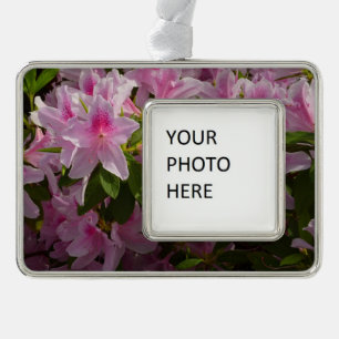 Pink Azalea Bush Frühjahr Floral Rahmen-Ornament Silber