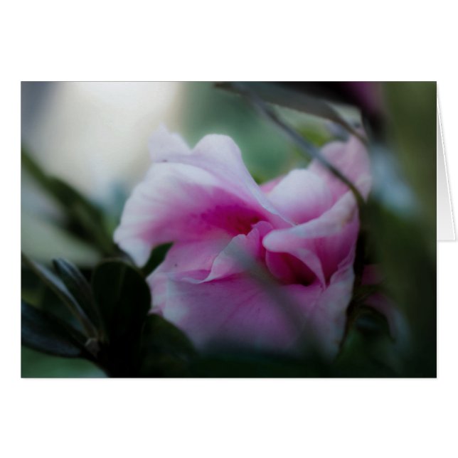 Pink Azalea Grußkarte (Vorderseite (Horizontal))