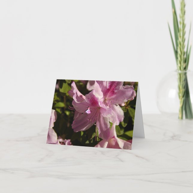 Pink Azalia Shadow Fairy Karte (Vorderseite)