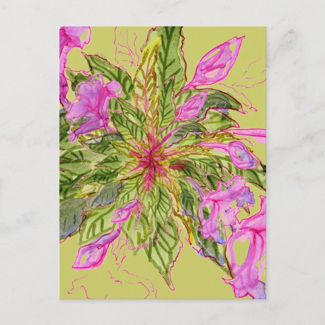 Pink Balsam Blume Bouquet auf Green Postkarte (Vorderseite)