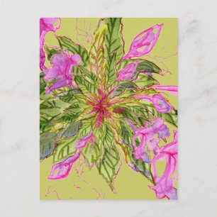 Pink Balsam Blume Bouquet auf Green Postkarte