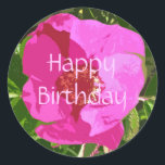 Pink Beach Rose Happy Birthday Daughter Sticker<br><div class="desc">Entspricht einer Karte und Briefmarke</div>