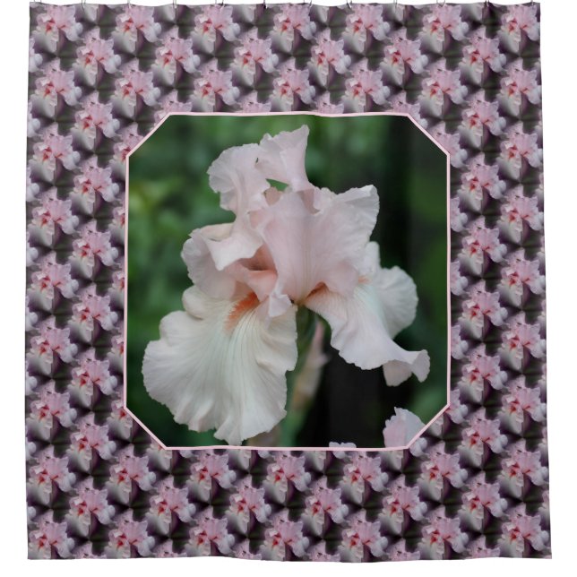 Pink Bearded Iris Flower Pattern Duschvorhang (Vorderseite)