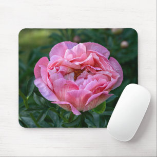 Pink Beauty: Die Fotografie der Pony wird faszinie Mousepad