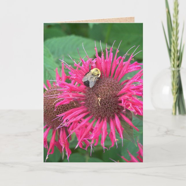 Pink Bee Balm Blume und Honey Bee Karte (Vorderseite)