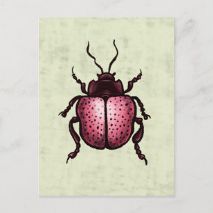 Pink Beetle Niedlich Bug Art - Insekten Lover Postkarte