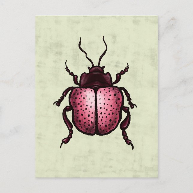 Pink Beetle Niedlich Bug Art - Insekten Lover Postkarte (Vorderseite)