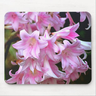 Pink Belladonna Lilies Mousepad