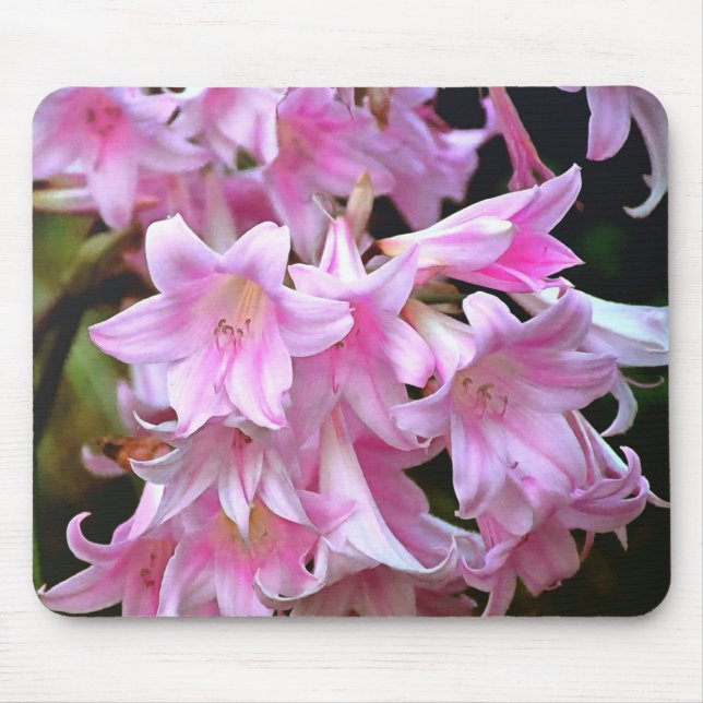 Pink Belladonna Lilies Mousepad (Vorne)