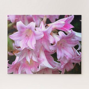 Pink Belladonna Lilies Puzzle