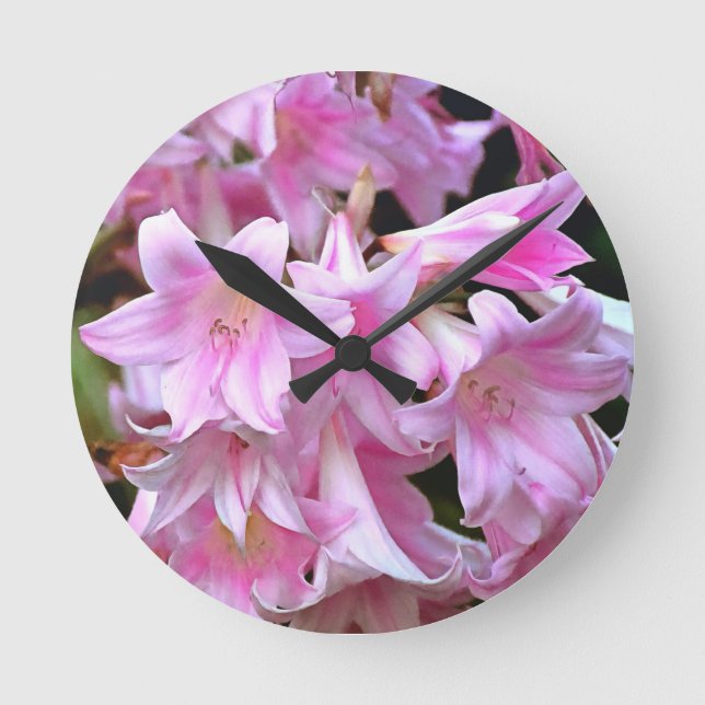 Pink Belladonna Lilies Runde Wanduhr (Vorderseite)