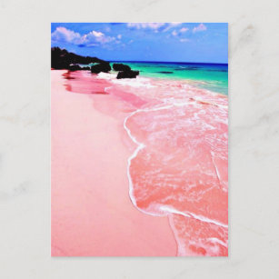 Pink Bermuda Beach Postkarte