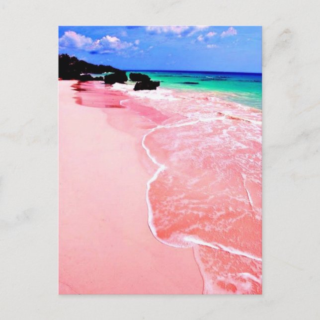 Pink Bermuda Beach Postkarte (Vorderseite)
