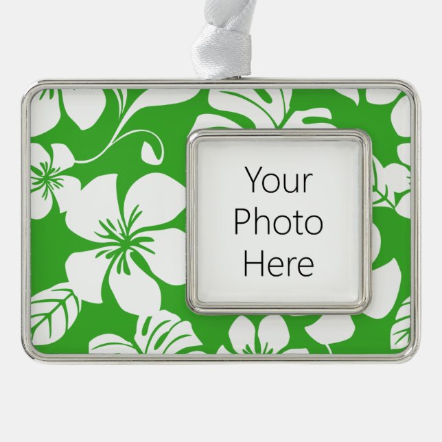 PINK BIKINI (CITRUS GREEN) Rahmen-Ornament SILBER (Vorderseite)