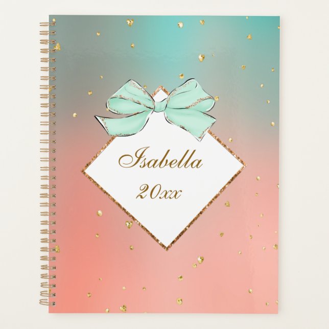 Pink & Blue Bow Personalized Planner Planer (Vorderseite)