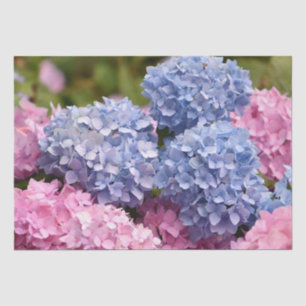 Pink Blue Hydrangea Blume Geschlechtsverkehr Seidenpapier