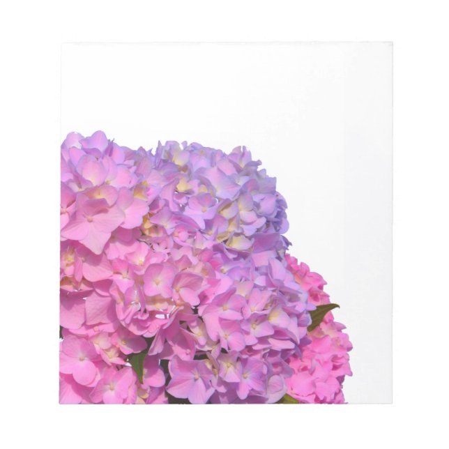 Pink Blue Hydrangeas elegante rosa violette Blumen Notizblock (Vorderseite)