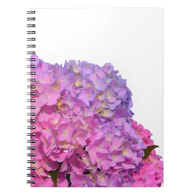 Pink Blue Hydrangeas elegante rosa violette Blumen Notizblock (Vorderseite)