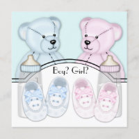 Pink Blue Teddy Bear Gender Reveal