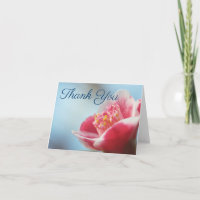 Pink Blume Camelia Vielen Dank Anmerkungen