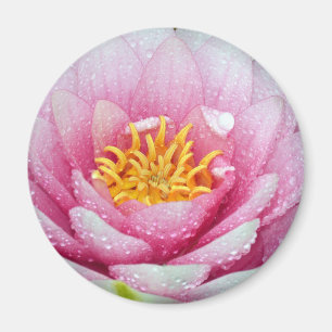 PInk-Blume Magnet