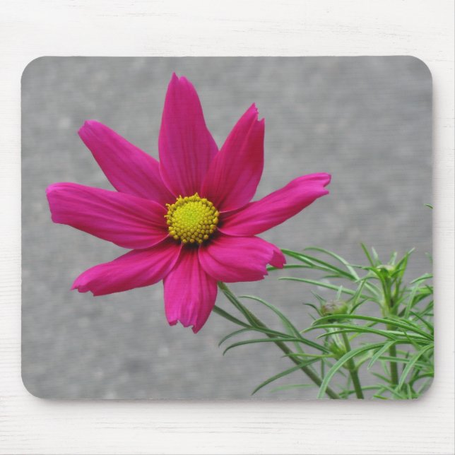 Pink-Blume Mousepad (Vorne)