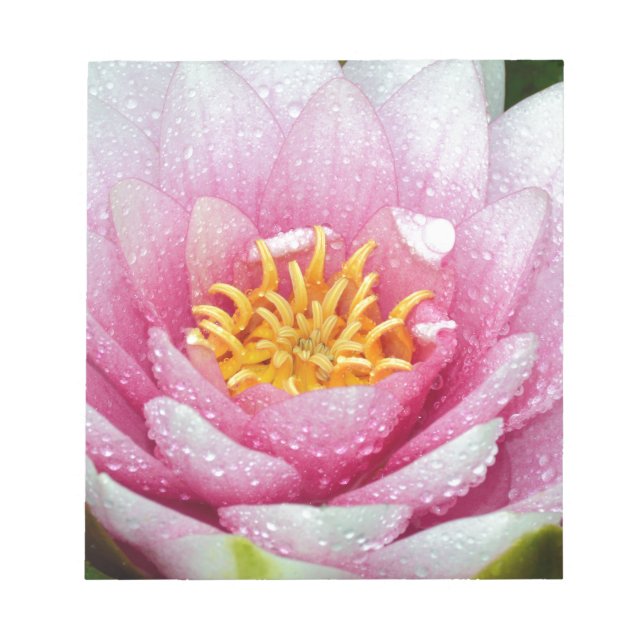 PInk-Blume Notizblock (Vorderseite)
