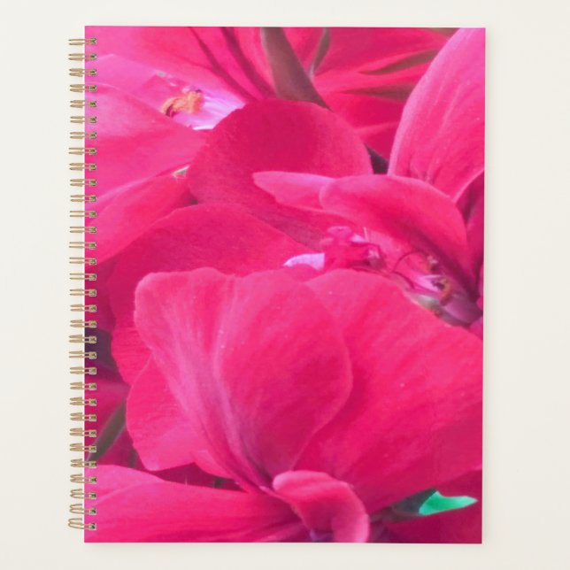 Pink-Blume-Planer Planer (Vorderseite)