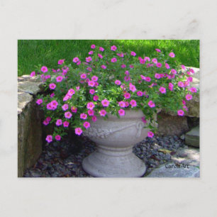 Pink Blume Planter Cards Postkarte