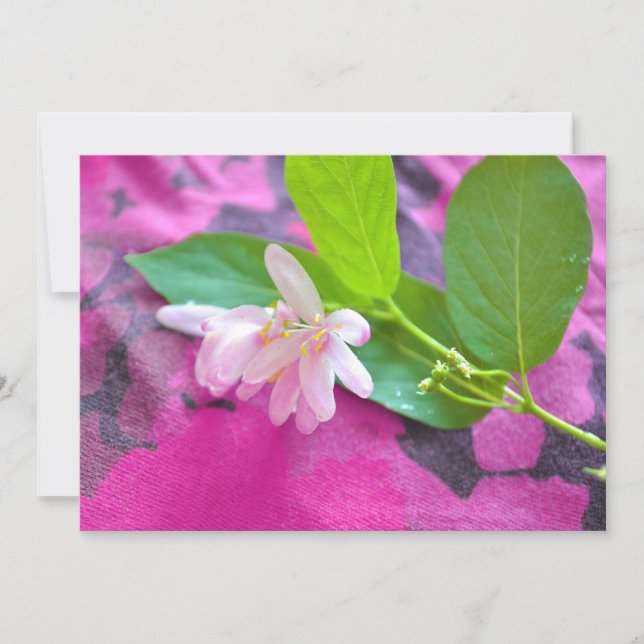 Pink-Blume-Postkarte (Vorderseite)