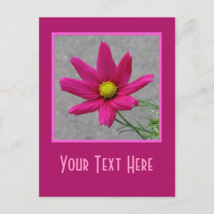 Pink-Blume-Postkarte Postkarte