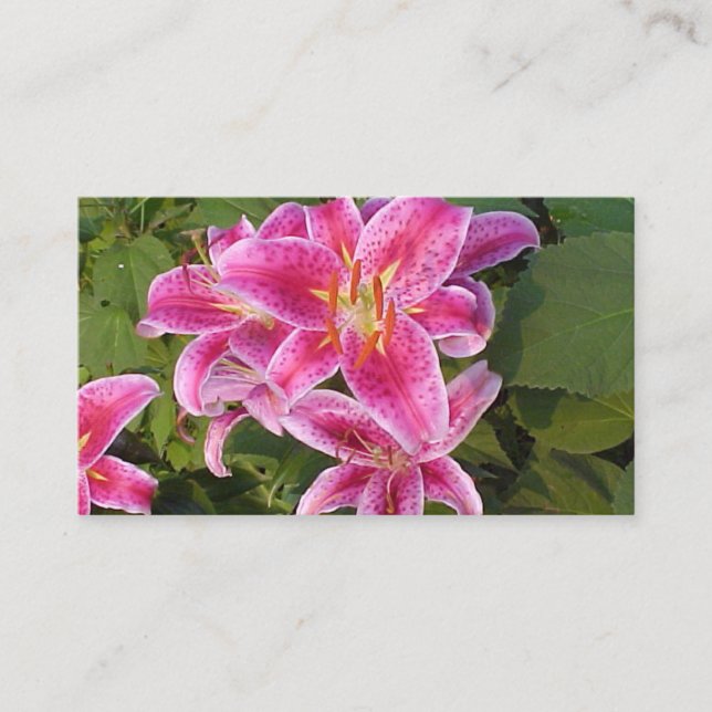 Pink-Blume-Visitenkarten Visitenkarte (Vorderseite)