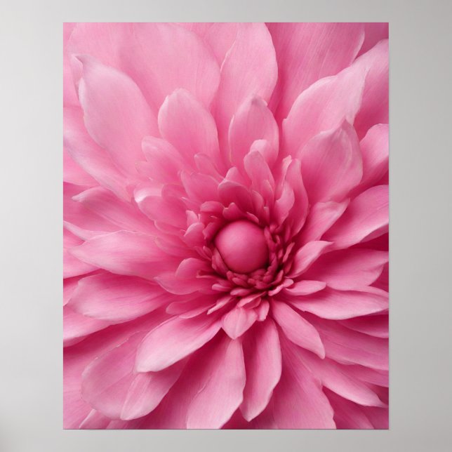 PINK BLUMEN ART POSTER (Vorne)