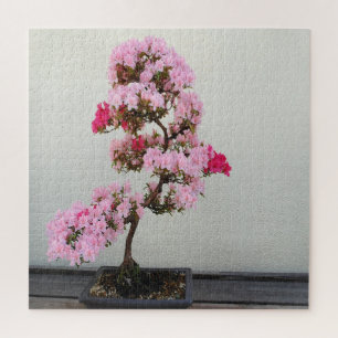 Pink Bonsai Tree Puzzle