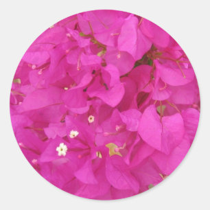 Pink Bougainvillea Blume (Griechenland) Runder Aufkleber