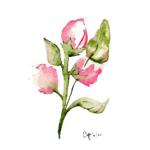 Pink Bud Floral Gasttuch