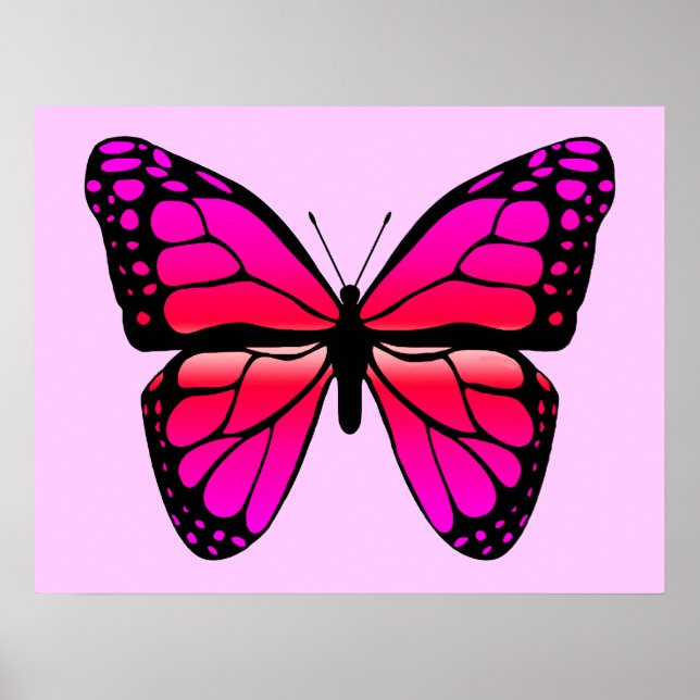 Pink Butterfly Poster (Vorne)