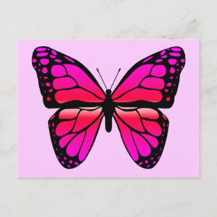 Pink Butterfly Postkarte