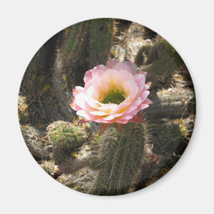 Pink Cactus Blume Magnet
