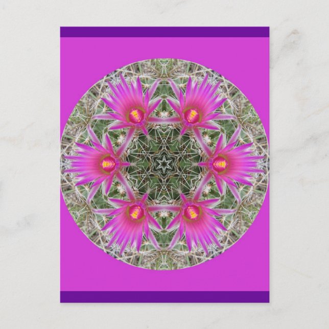 Pink Cactus Blume Postkarte (Vorderseite)
