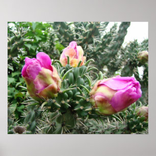 Pink Cactus Print Poster