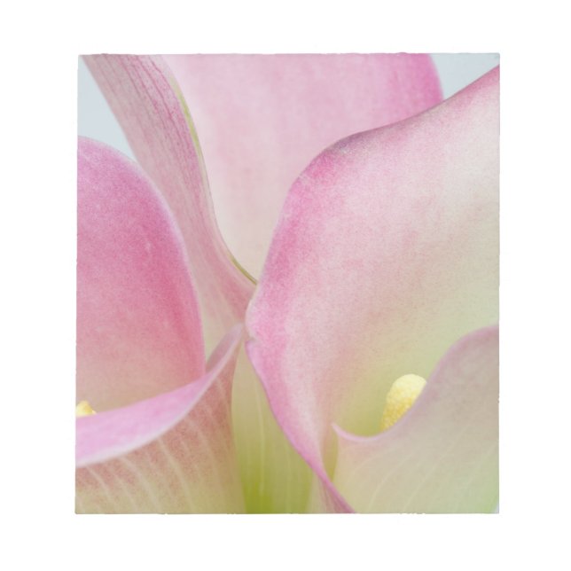 Pink Calla Lilies Notizblock (Vorderseite)