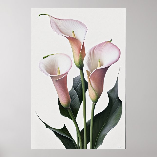 Pink Calles Lilies Lily Blume Art Paintball Poster (Vorne)