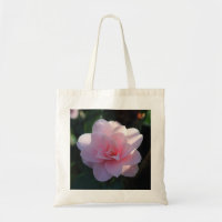 Pink Camelia
