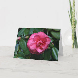"Pink Camellia # 1" Karte