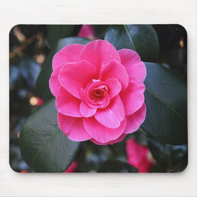 Pink Camellia Mousepad (Vorne)