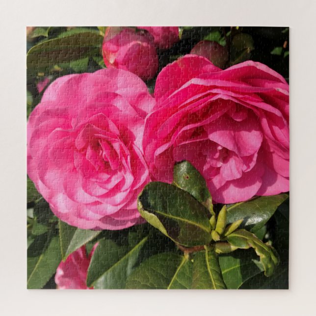 Pink Camellia Puzzle (Vertikal)